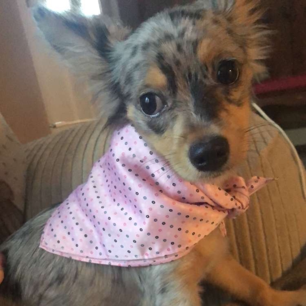 Meet your Posher, Leah